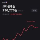 캐슬인터내셔널 이미지