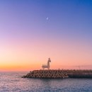 중앙로101번길 이미지