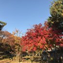 면역창조삼 | <어린 왕자> 2차 온라인 독서모임 후기 (1)