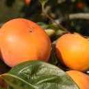 진영모텔 이미지