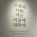 뉴현대미술교습소 | 국립현대미술관 서울 - 소멸의 시학: 삭는 미술에...특별전 Dancing, Dreaming, Enlightening 관람 후기
