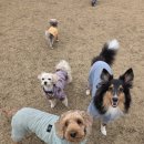 와스타디움 이미지