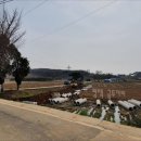 운정1리마을회관 이미지