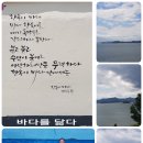 바다닮다 이미지