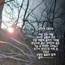 정연초 티스토리