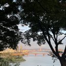 달맞이봉(공원) | 옥수 서울 무료 야경명소 달맞이봉공원 서울숲 성수 데이트코스 추천