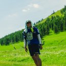 달리는이유 이미지