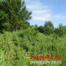 중앙2길 이미지