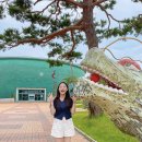 유디니스튜디오
