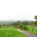 세이지우드 CC 홍천 이미지