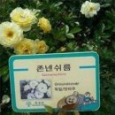 꽃을주는사람 이미지