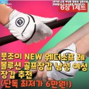 메이저골프클럽(주) | 풋조이 NEW 웨더소프 레볼루션 골프장갑 남성 여성 장갑 추천(단독 최저가 6만원!)