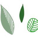 비오한의원 이미지