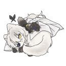 구도 이미지