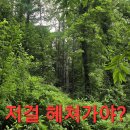 오지랍