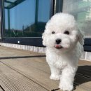 여주켄넬 이미지