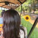 컴퓨터&스마트폰 기초 완전정복 | 기초일본어회화 공부법 직접 해보니 이 방법이 가장 좋았어요! 전화 일본어 랭디 찐 후기