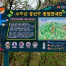 신선대 입구 임도 이미지