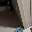 (주)팜메디 | 차량 집안 담배냄새 빼는법 피톤치드 계피 스프레이 솔직후기