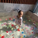 쉐이리코타키나 이미지