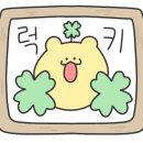 두두카케어