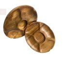 돼지네호프 이미지