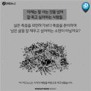 정적인사진관