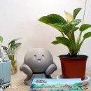 (주)셈스게임즈 이미지