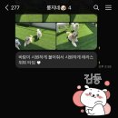 댕댕존 이미지