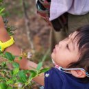 서니농장 이미지