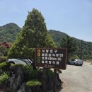 송어의집 | [강원도 평창 맛집] 60년 전통, 우리나라 최초의 양식장 '송어의집'