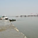 도선장횟집 이미지