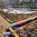 서울신성초등학교 이미지