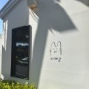 고양이샵 | 제주 조천 짱 귀여운 고양이 소품샵 사가냥 러그 구매후기