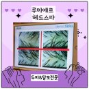 성장인자두피탈모 마곡루미에르 본점 | 발산 두피 탈모 전문점 마곡 루미에르 헤드스파 후기