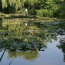 지베르니 이미지