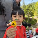 [4월 4주] 샘터와 함께하는 화명수목원 숲나들이🌸 이미지