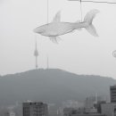 도심의 쉼터 이미지