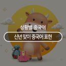 르추 | [신년에 활용할 수 있는 유용한 중국어 표현]