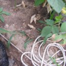 관우농장 이미지