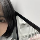 대련 | 20대 중반 여자 혼자 중국 대련 여행 후기