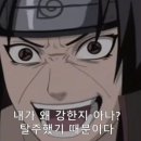 트렌드핏 이미지
