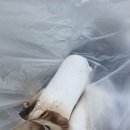 퍼주는농산물