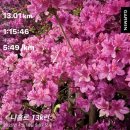 한강르네상스 양화1호점 이미지