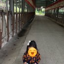 세현목장 이미지