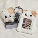 끌림 콘서트1 현미밴드 | [엔하이픈 오사카 얀마 스타디움 콘서트 DAY 1] 물대포 맞으러 간 첫날 후기