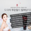 세송이동백미