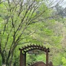 수미산정 - 474595 | 수미산정