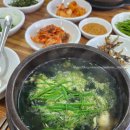 자연굴국밥&생선조림 | [거제 맛집] 신선한 굴 메뉴 현지인 맛집 '자연굴국밥&생선조림'