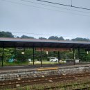 빅보스목장 | [훗카이도 북해도 여름여행/ 노보리베츠 가볼만한 곳 ①베어파크 곰목장] - 입장료, 케이블카, 운영시간...